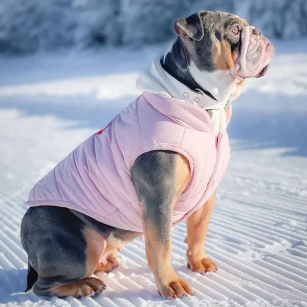 Pupreme Vest - Image 7