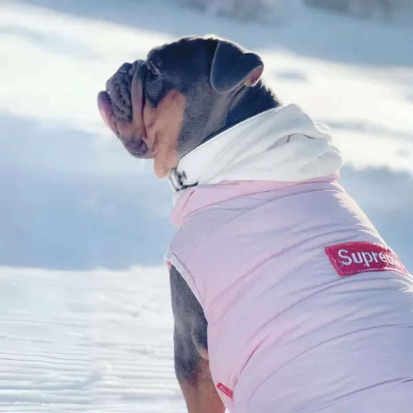 Pupreme Vest - Image 4