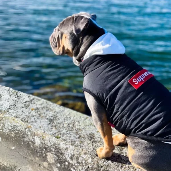 Pupreme Vest - Image 5